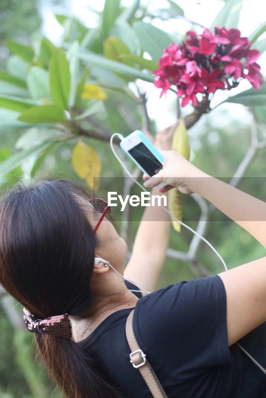 Tilt image of woman photographing flower through cell phone