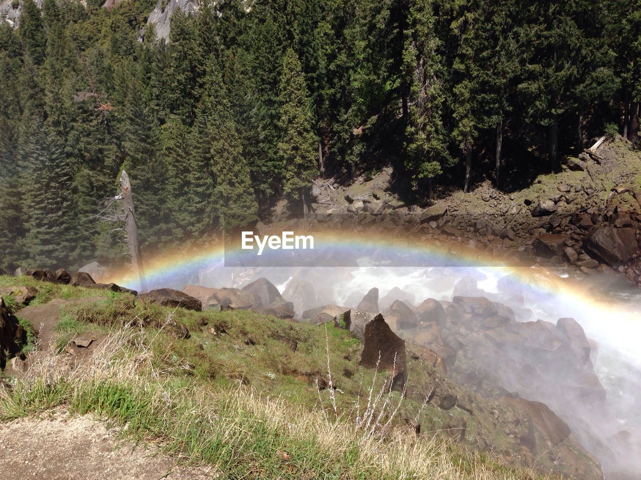 High angle view of rainbow against trees