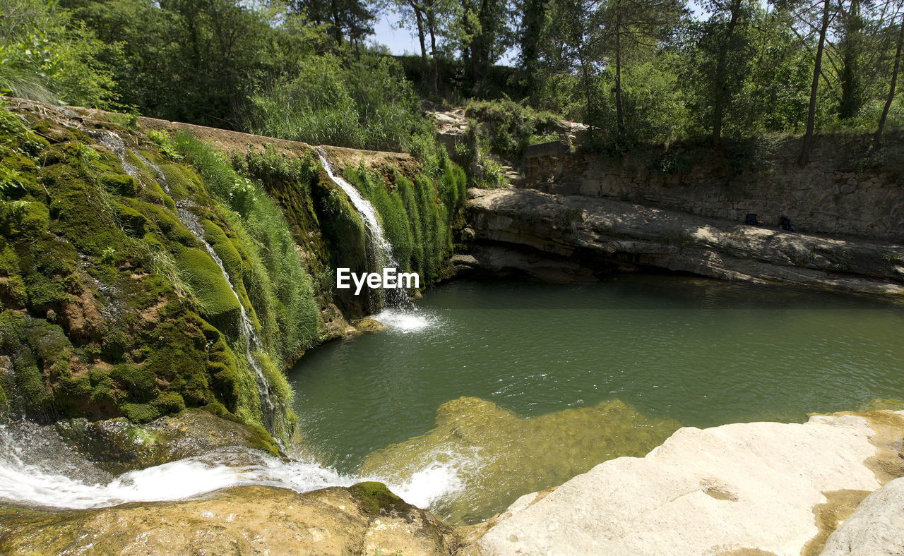 Scenic view of river amidst trees in forest against sky