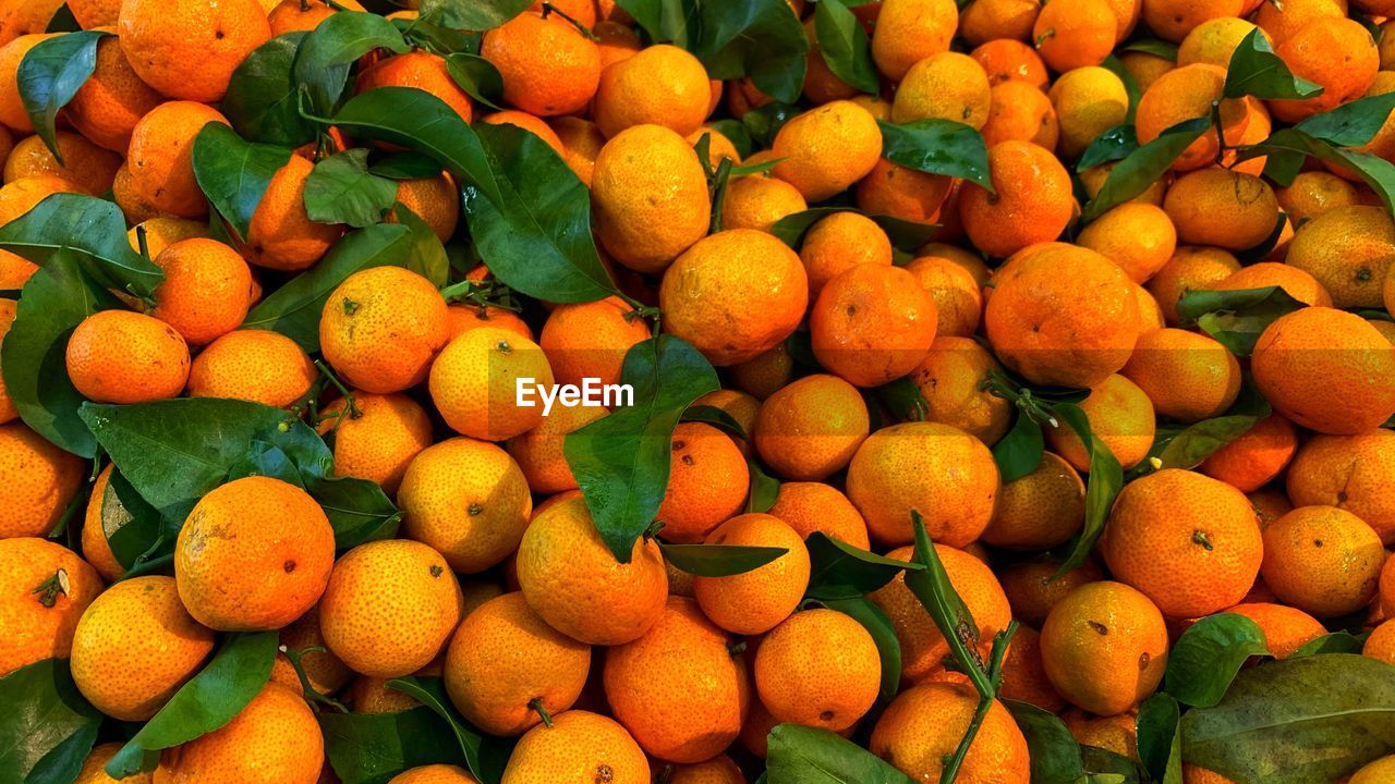 Sunkissed oranges 