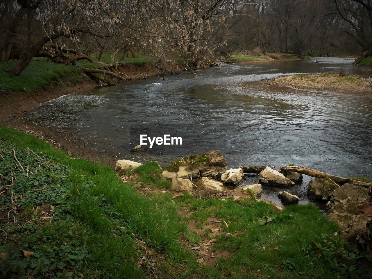 SCENIC VIEW OF RIVER