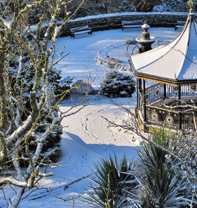 VIEW OF TREES IN WINTER