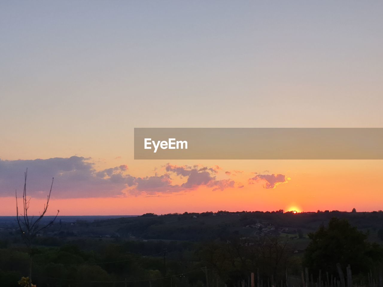 SILHOUETTE TREES AGAINST SKY DURING SUNSET