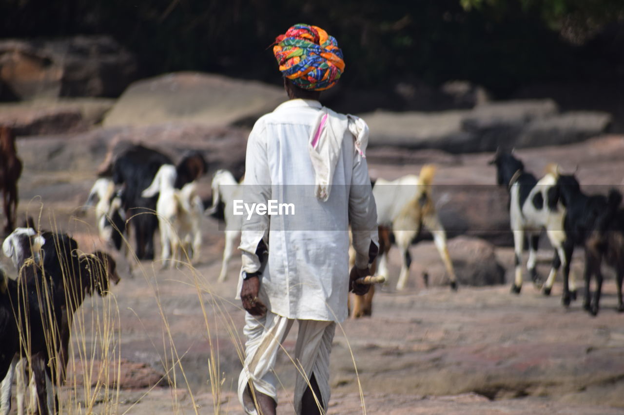 REAR VIEW OF PERSON STANDING ON FIELD DURING SUNNY DAY