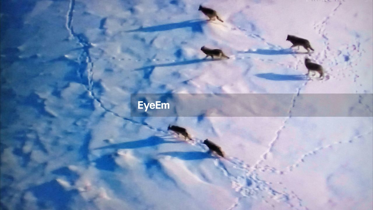 HIGH ANGLE VIEW OF SNOW ON THE WALL