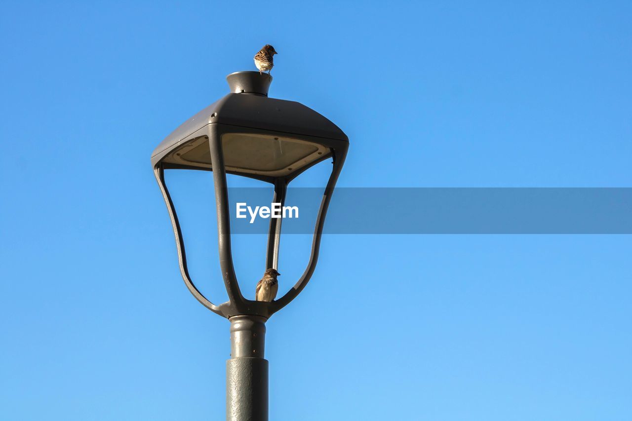 Low angle view of lamp against blue sky