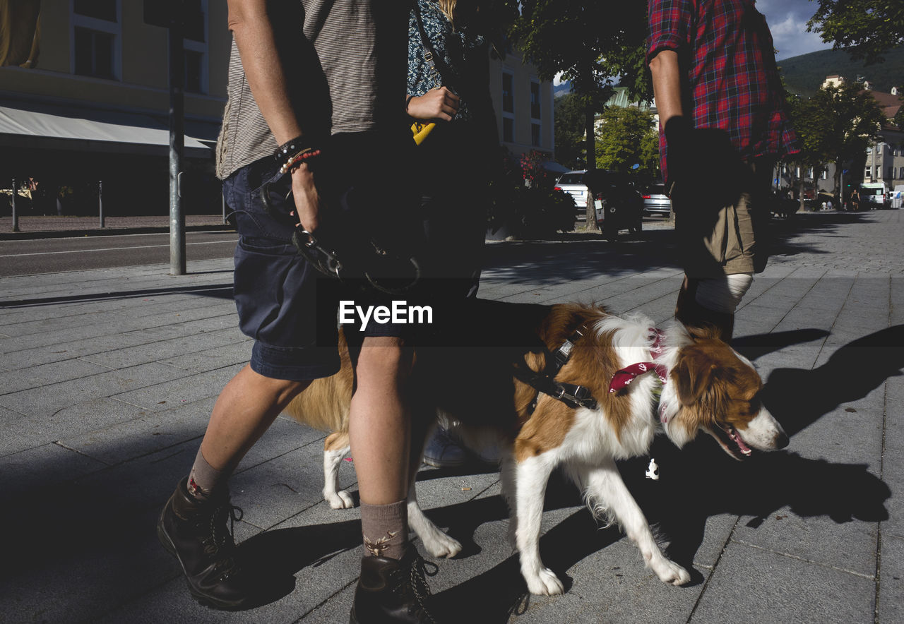 Low section view of man walking with dog