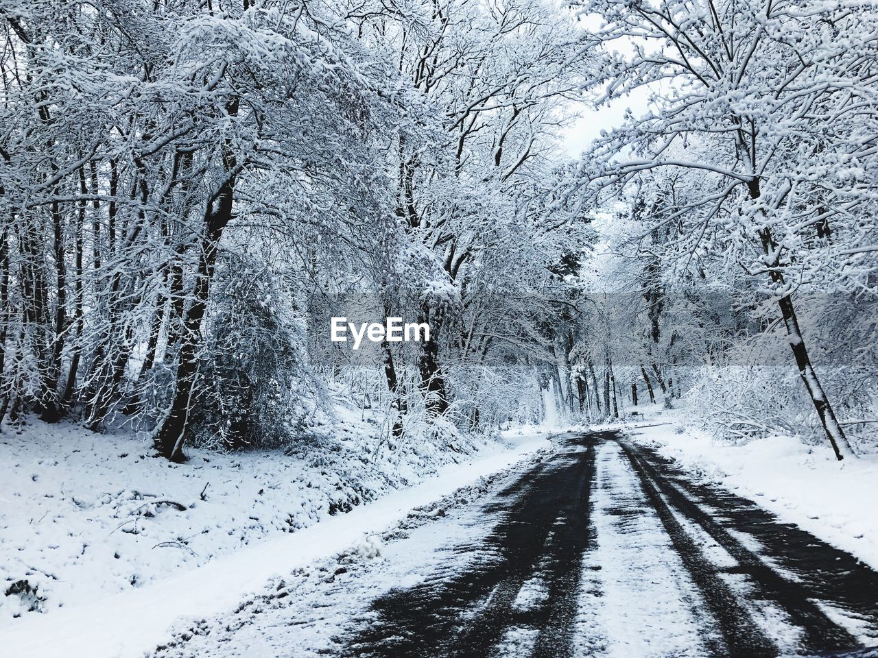 Close-up of snow covered landscape