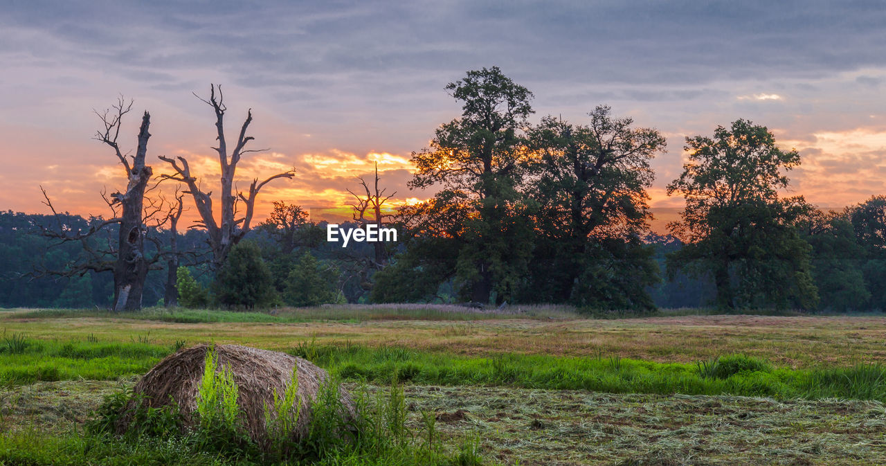 Scenic view of field against sky during sunset