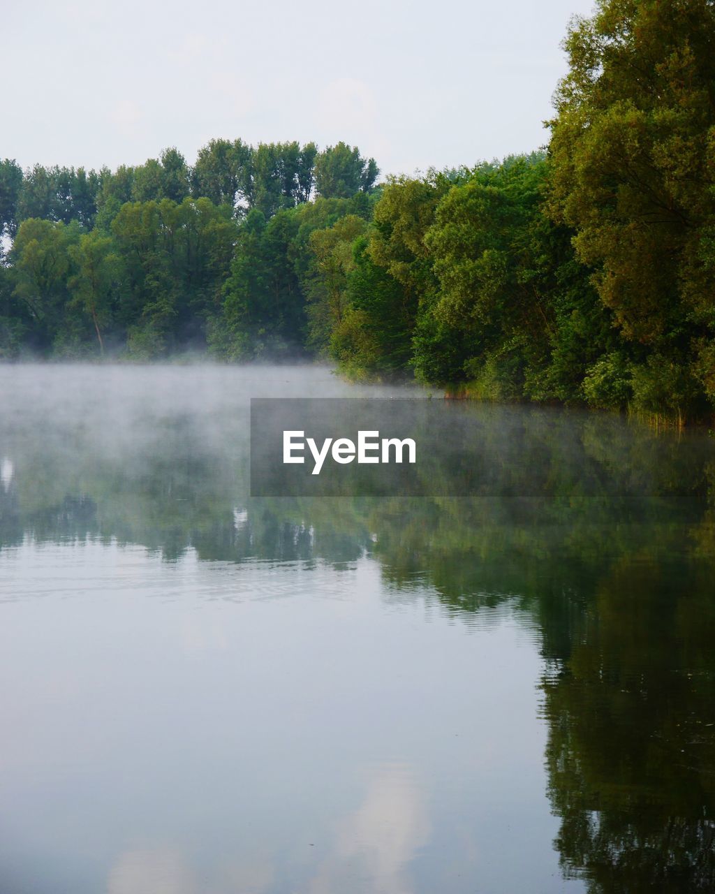 Scenic view of lake by trees against sky
