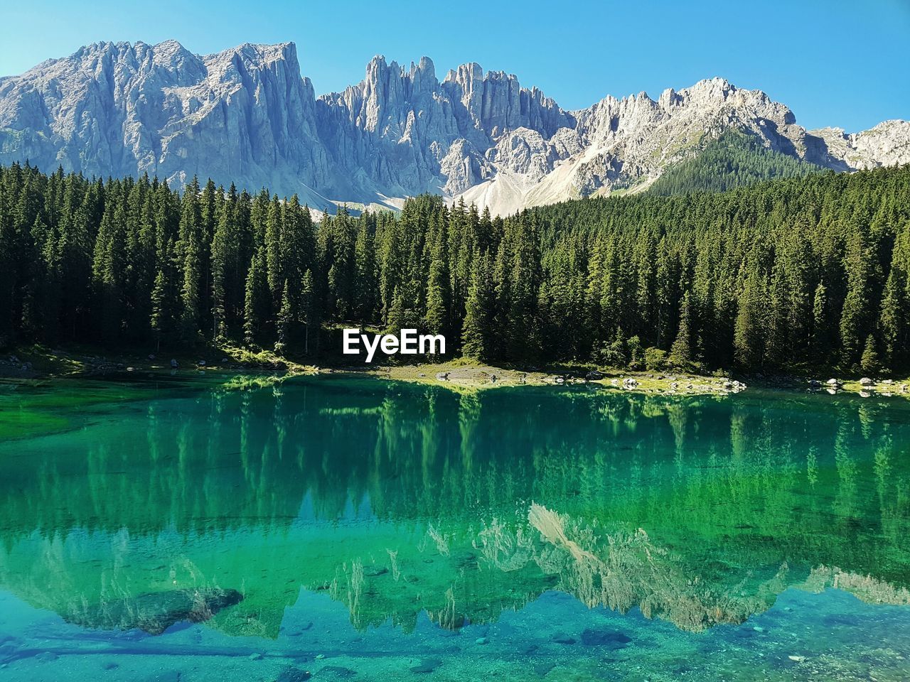 Reflection of trees and mountains in lake during sunny day