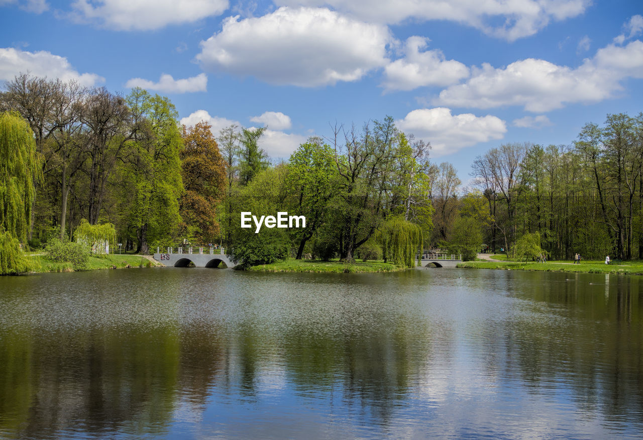 TREES BY LAKE AGAINST SKY