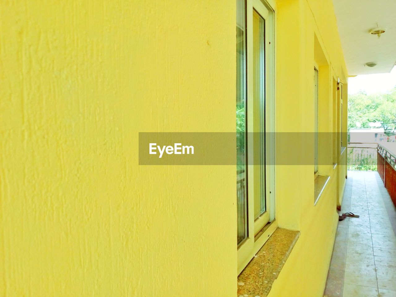 YELLOW DOOR OF HOUSE WITH GREEN BACKGROUND