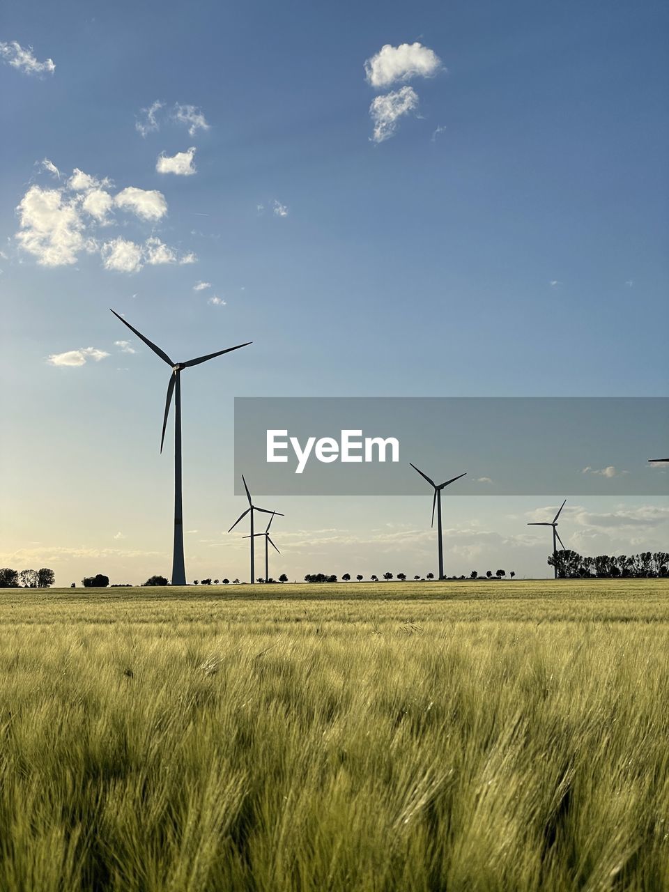 wind, windmill, sky, wind turbine, nature, wind power, renewable energy, turbine, alternative energy, power generation, environmental conservation, line, environment, sunlight, no people, day, built structure, outdoors, architecture, electricity, cloud, technology, beauty in nature, wind farm