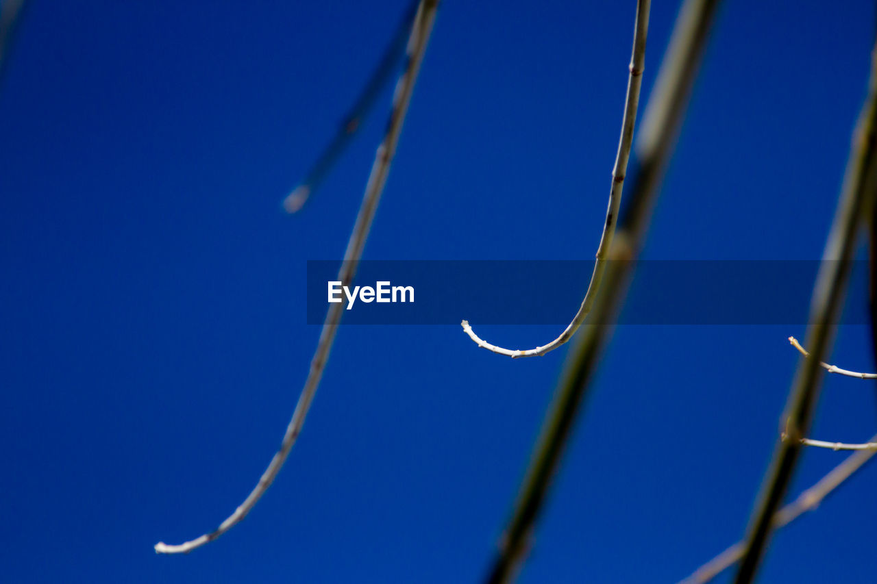 Low angle view of blue sky