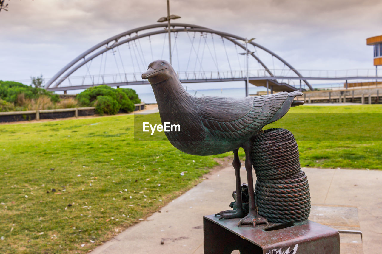 SIDE VIEW OF A BIRD ON METAL STRUCTURE