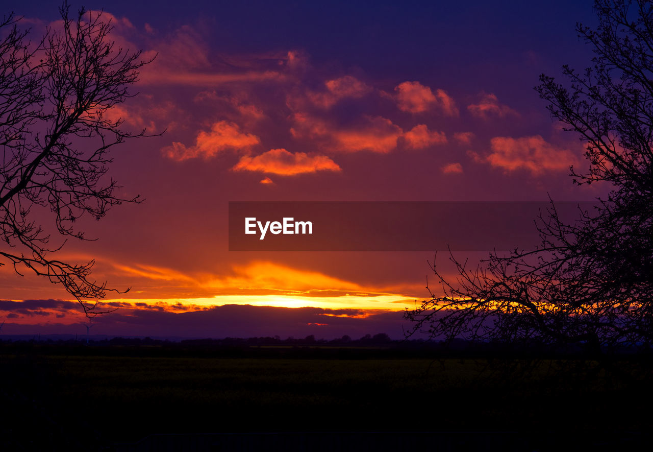 Silhouette trees on field against sky at sunset