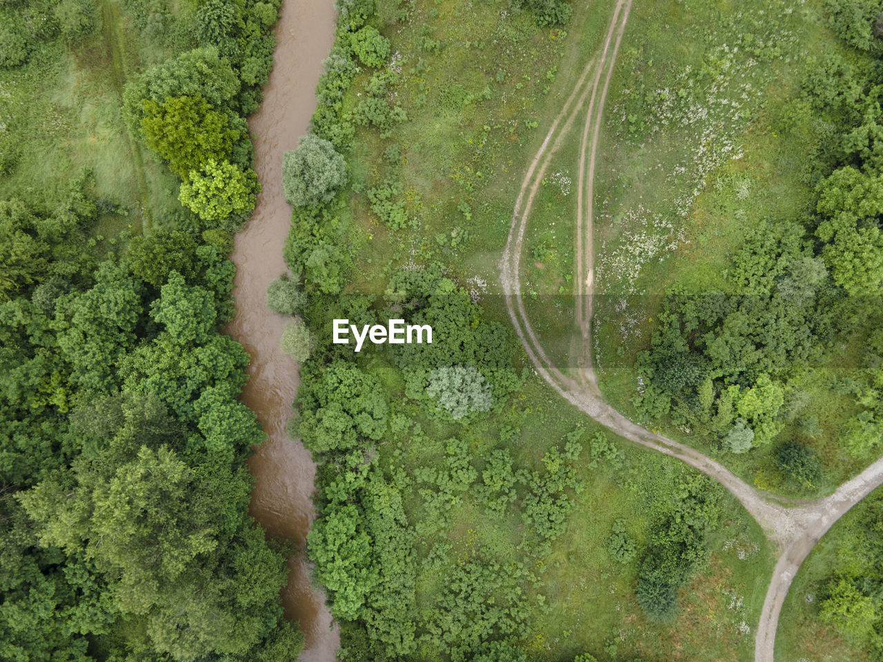 HIGH ANGLE VIEW OF ROAD PASSING THROUGH FOREST