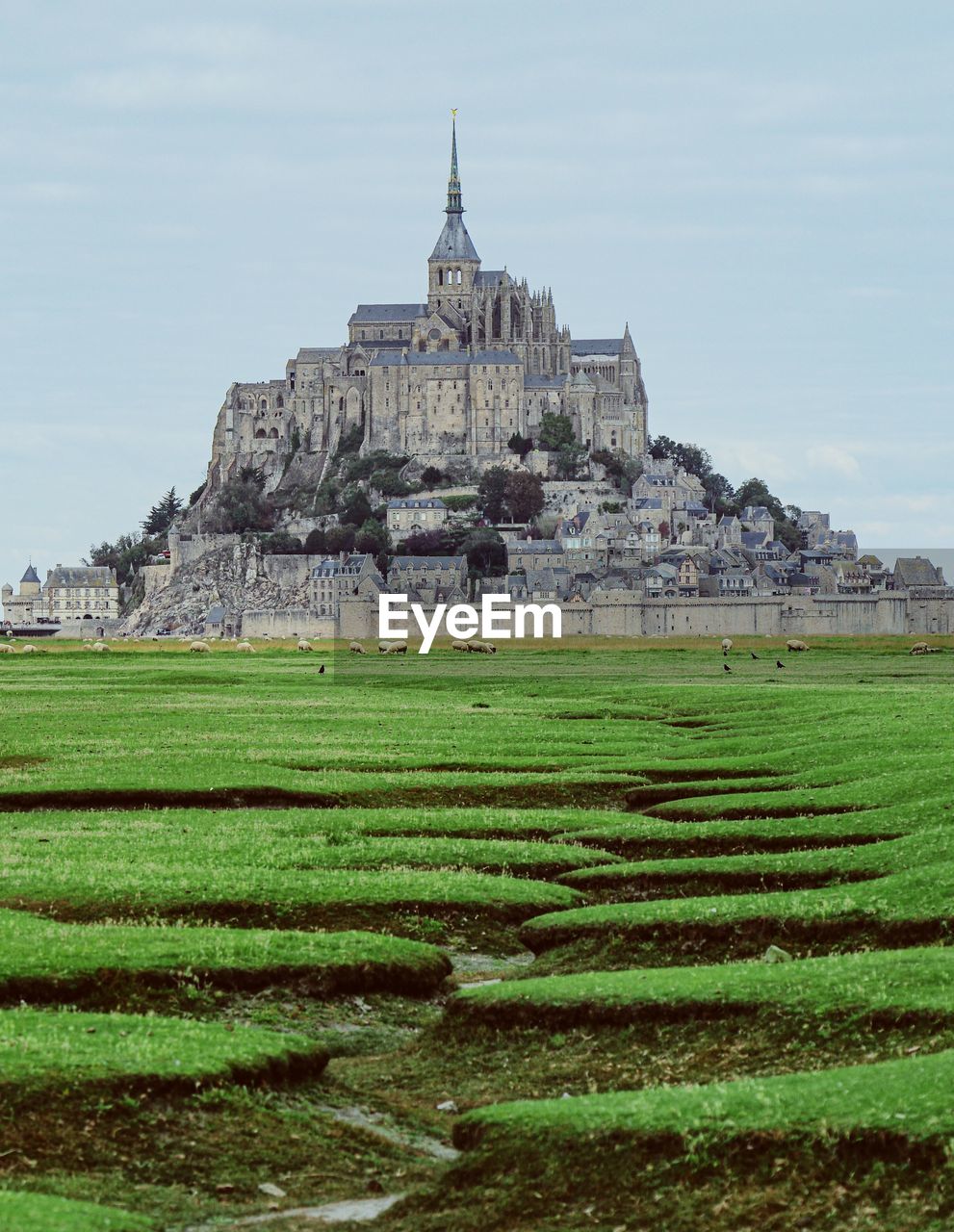 Mont saint michel, le pré salé