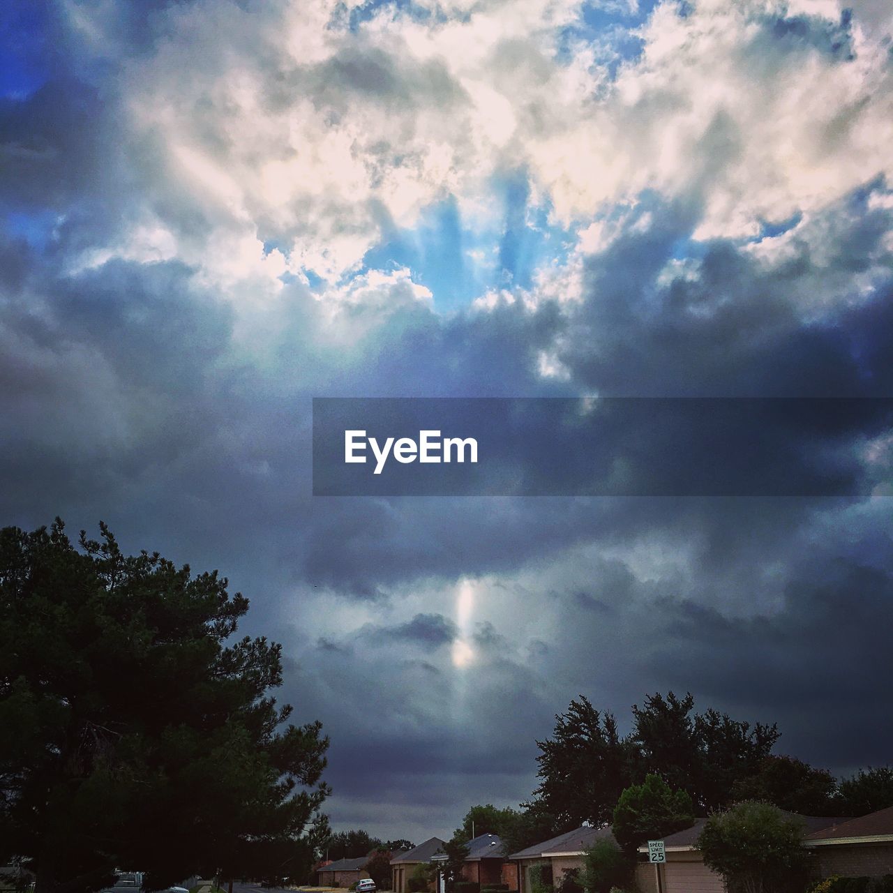 Low angle view of trees against cloudy sky