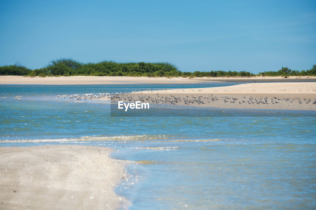 SCENIC VIEW OF SEA AND BEACH