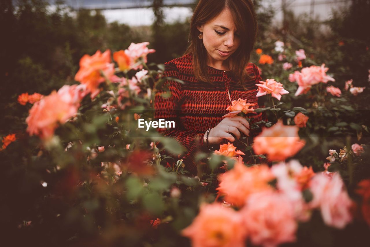 Mid adult woman looking at flowers while standing in greenhouse