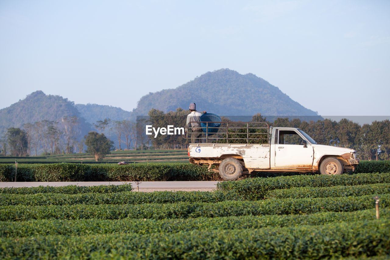 Rear view of man standing on pick-up truck at farm against clear sky