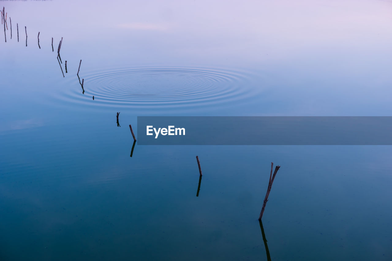 High angle view of wooden post in lake