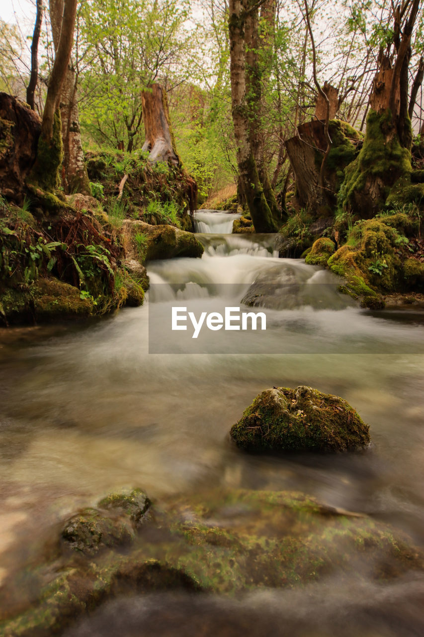 tree, nature, river, water, stream, plant, beauty in nature, forest, creek, land, scenics - nature, natural environment, wilderness, autumn, leaf, woodland, flowing water, environment, body of water, rapid, rock, landscape, long exposure, motion, watercourse, waterfall, no people, tranquility, flowing, moss, water feature, non-urban scene, tranquil scene, rainforest, outdoors, idyllic, blurred motion, growth, day, travel destinations, green, wet