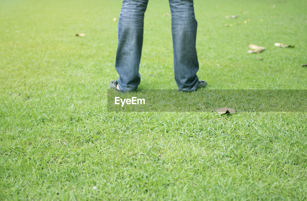 Low section of person on grass