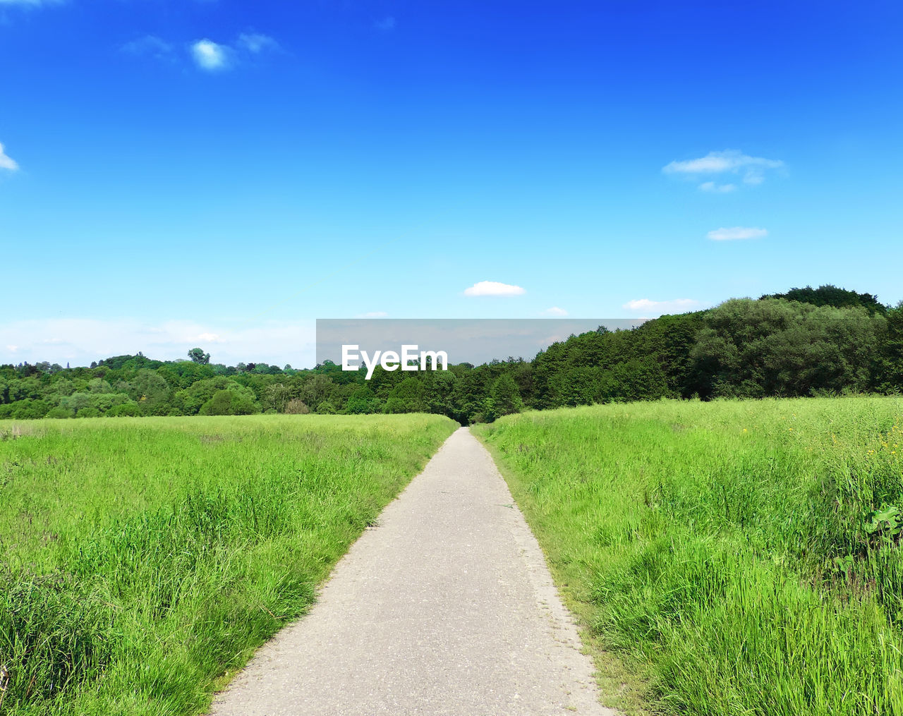 Road amidst field against sky