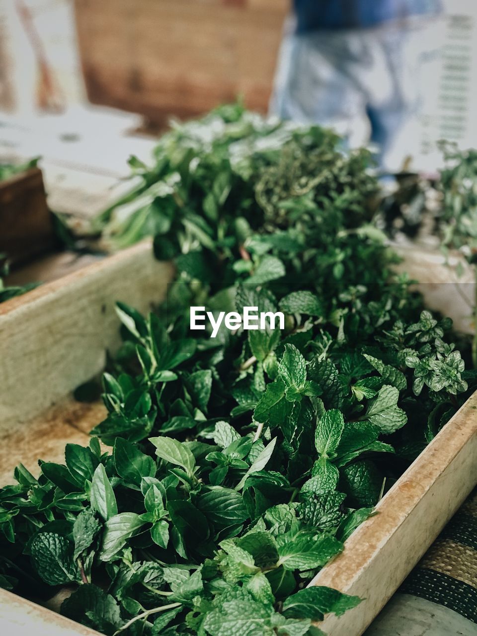 Close-up of vegetables for sale