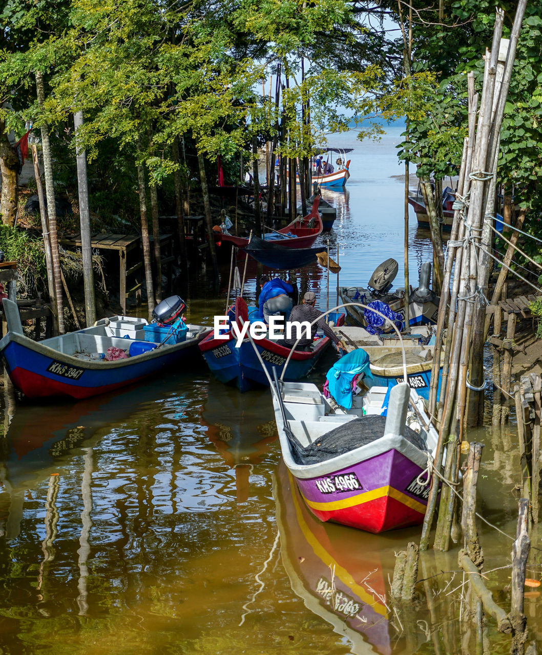 BOATS MOORED ON RIVER BY TREES