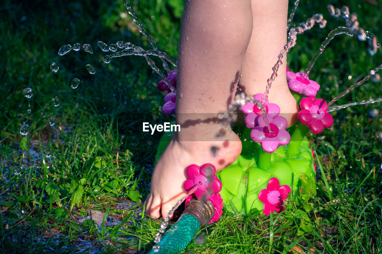 LOW SECTION OF WOMAN WITH PINK FLOWER ON GRASS