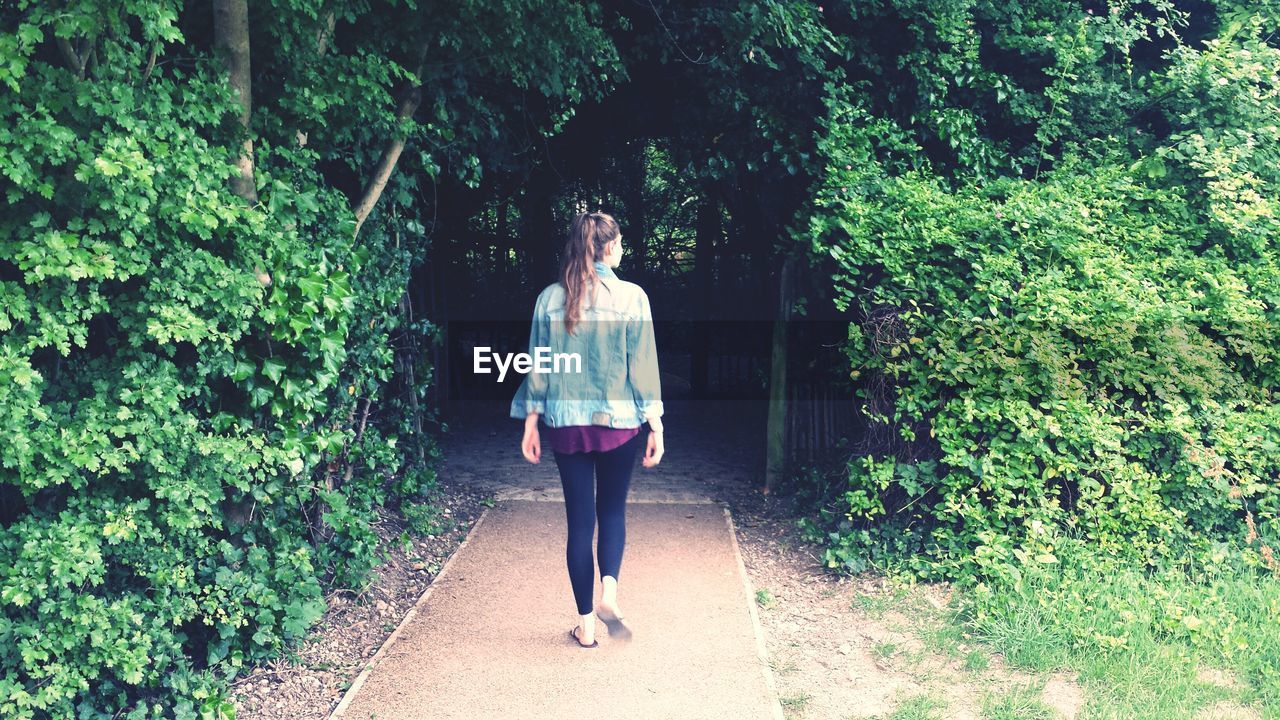 Full length of woman walking amidst tree