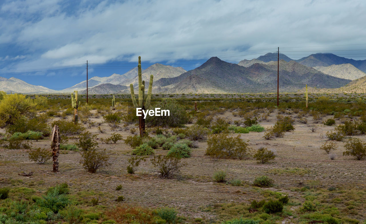 SCENIC VIEW OF FIELD BY MOUNTAINS AGAINST SKY