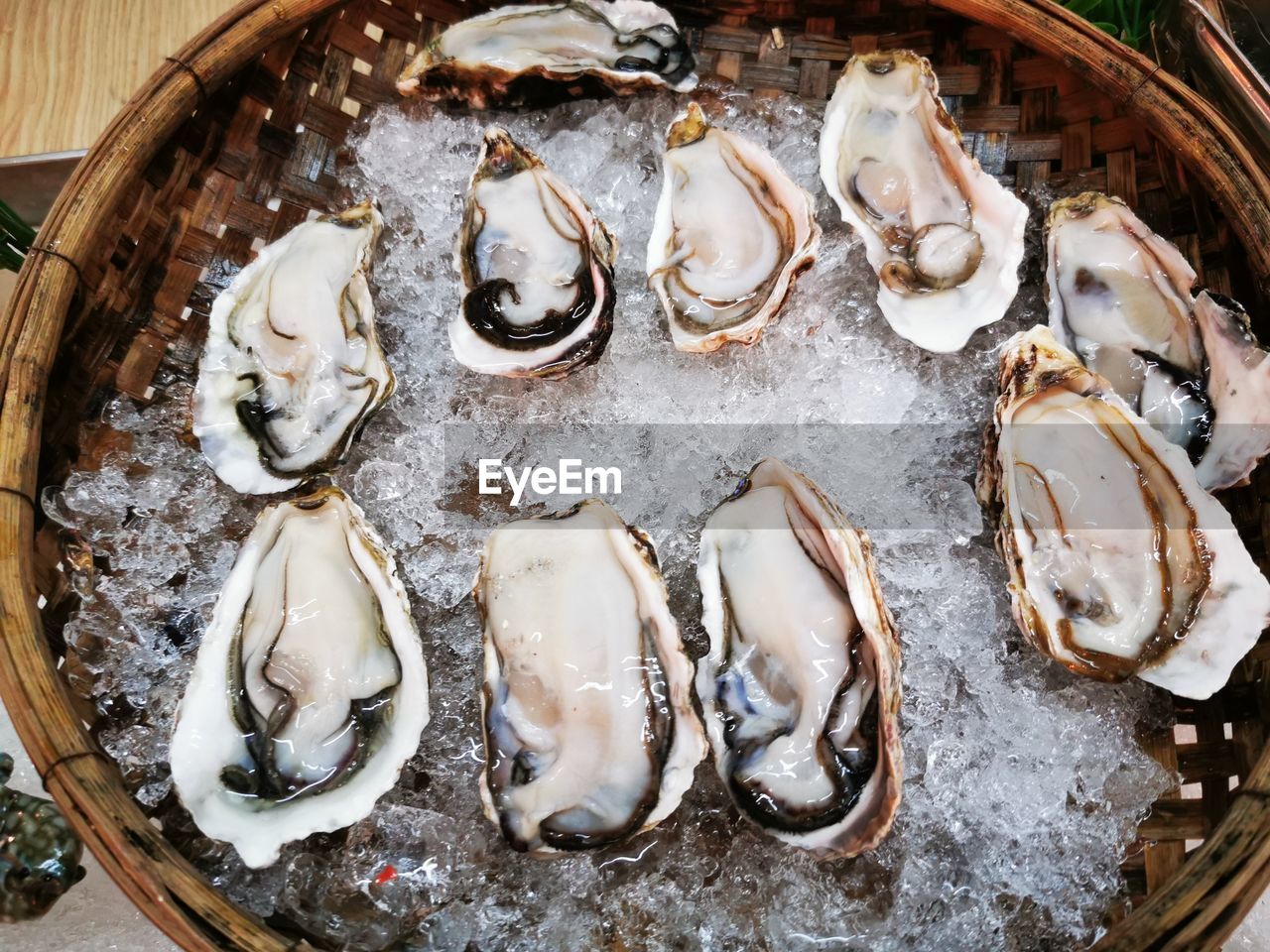 HIGH ANGLE VIEW OF SHELLS IN THE CONTAINER