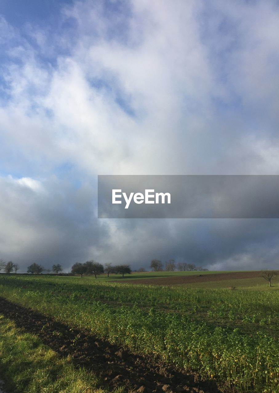 Scenic view of agricultural field against sky