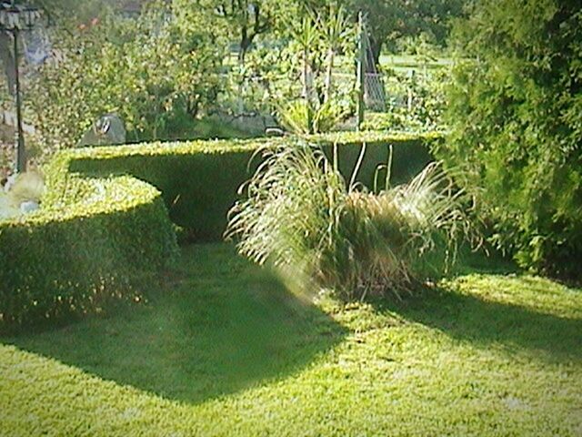 VIEW OF POND