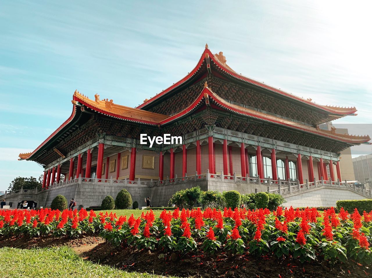 RED FLOWERING PLANT AGAINST BUILDING