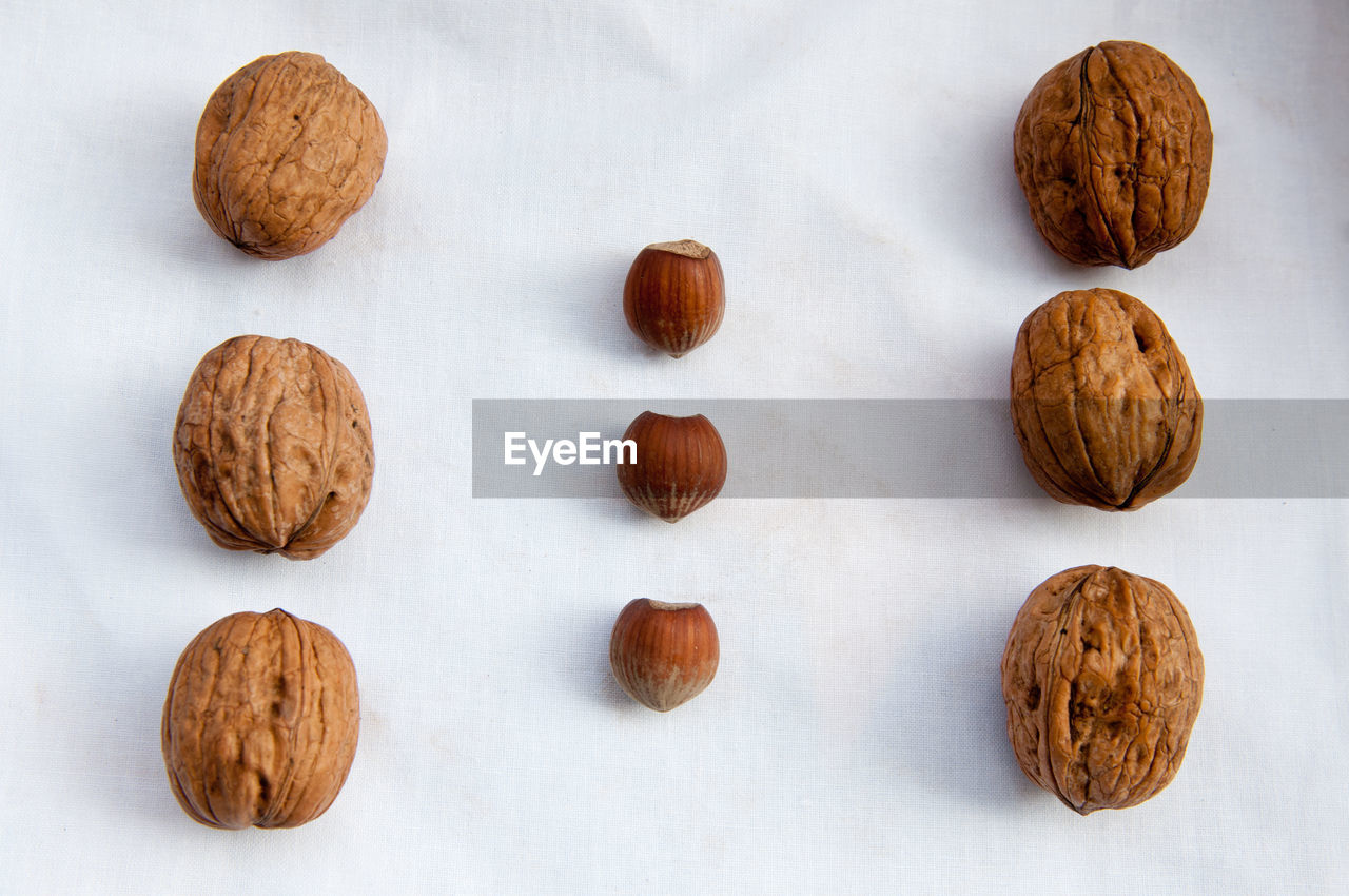 High angle view of walnuts and hazelnuts on white background
