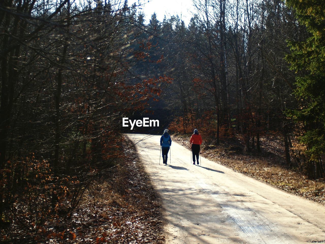 REAR VIEW OF WOMAN WALKING IN PARK