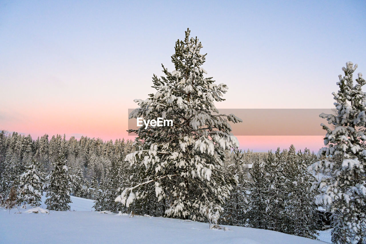 SNOW COVERED LAND AGAINST SKY DURING SUNSET