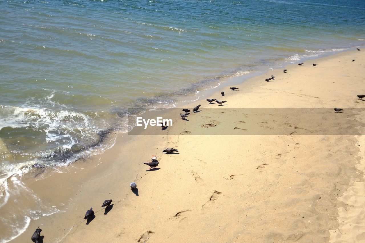 HIGH ANGLE VIEW OF SEA SHORE