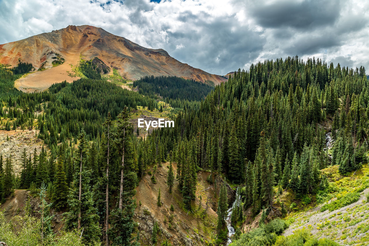 Scenic view of tree mountains against sky