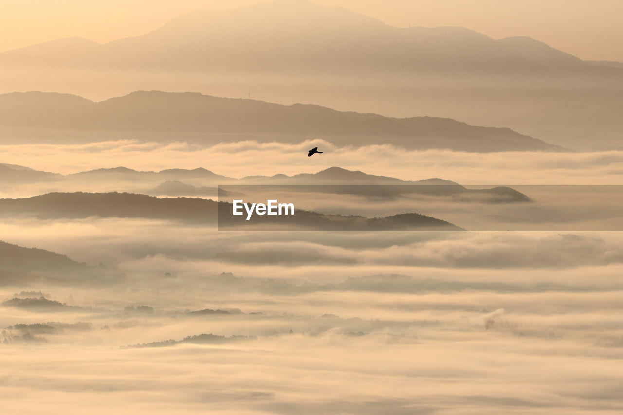 Fogs filled between the mountain ranges create a mysterious landscape.