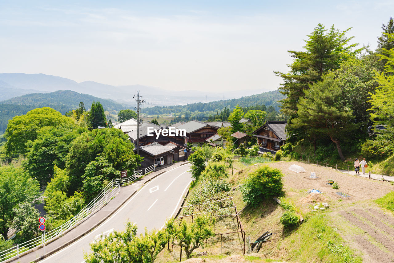 Road amidst trees and buildings against sky