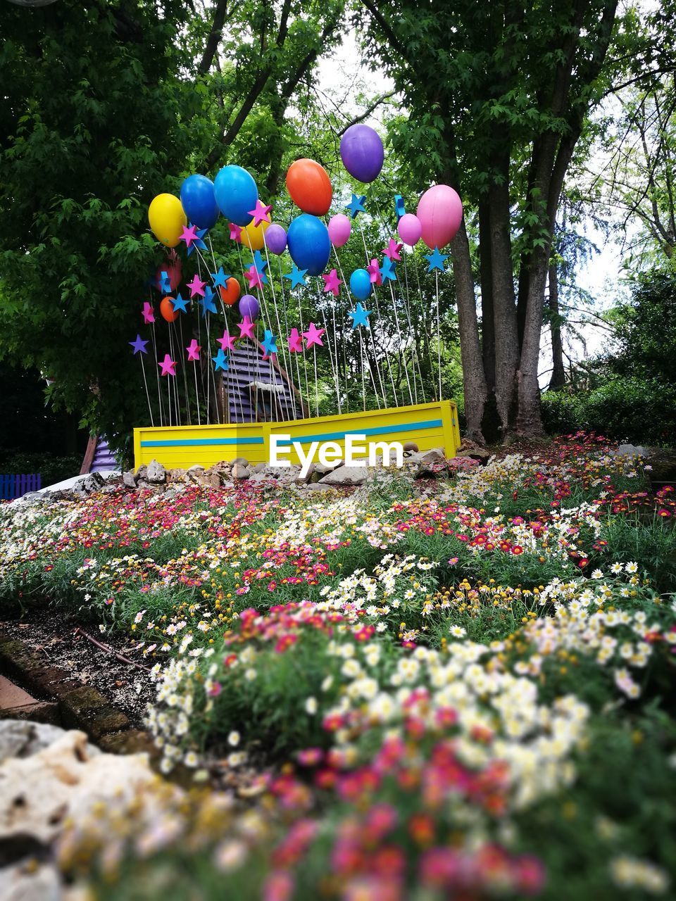 MULTI COLORED BALLOONS ON PLANTS