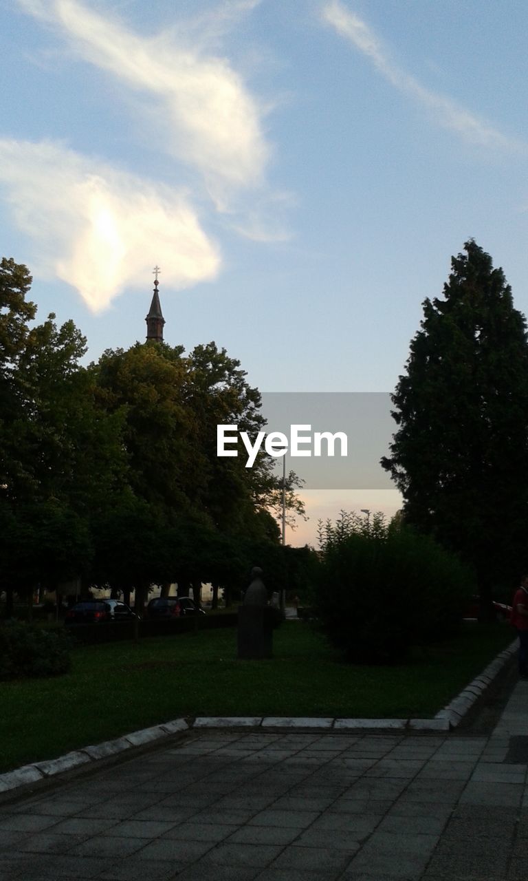 VIEW OF TREES AGAINST CLOUDY SKY