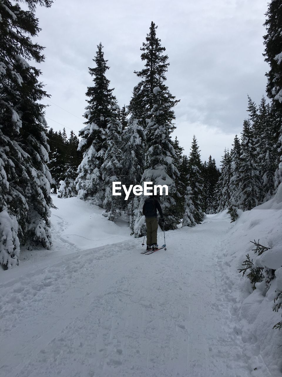 Rear view of person walking on snow covered landscape